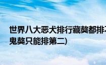 世界八大恶犬排行藏獒都排不上号(世界十大猛犬排名,西藏鬼獒只能排第二)