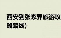 西安到张家界旅游攻略(西安到张家界旅游攻略路线)