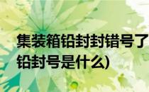 集装箱铅封封错号了解决办法由哪些(集装箱铅封号是什么)