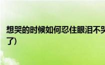 想哭的时候如何忍住眼泪不哭(想哭的时候如何忍住眼泪不哭了)