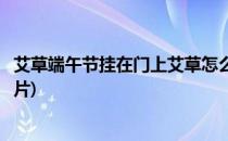 艾草端午节挂在门上艾草怎么挂(艾草端午节挂在门上艾草图片)