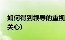 如何得到领导的重视(如何得到领导的重视和关心)