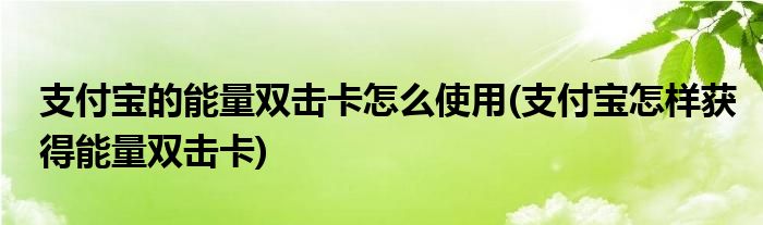 支付宝的能量双击卡怎么使用(支付宝怎样获得能量双击卡)