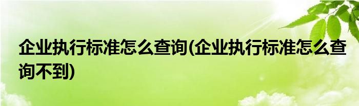 执行标准查询企业不到