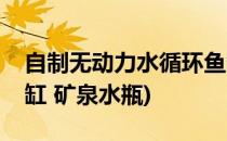 自制无动力水循环鱼缸(自制无动力水循环鱼缸 矿泉水瓶)
