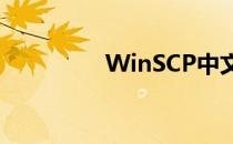 WinSCP中文版怎么安装