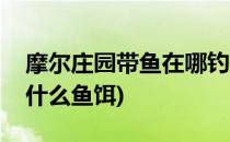 摩尔庄园带鱼在哪钓(摩尔庄园带鱼在哪钓用什么鱼饵)