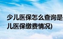 少儿医保怎么查询是否正常缴纳(如何查询少儿医保缴费情况)
