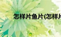 怎样片鱼片(怎样片鱼片最简单教程)