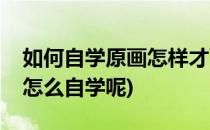 如何自学原画怎样才可以学好原画(原画应该怎么自学呢)