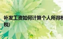 补发工资如何计算个人所得税(补发的工资如何缴纳个人所得税)