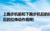 上跑步机前和下跑步机后的拉伸动作(上跑步机前和下跑步机后的拉伸动作视频)