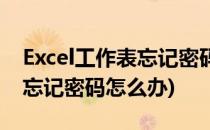Excel工作表忘记密码如何破解(excel工作表忘记密码怎么办)