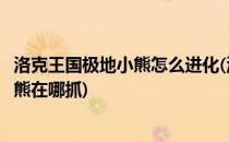 洛克王国极地小熊怎么进化(洛克王国极地小熊怎么得极地小熊在哪抓)