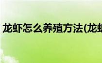 龙虾怎么养殖方法(龙虾怎么养殖方法在家里)