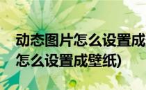 动态图片怎么设置成壁纸(相册里的动态图片怎么设置成壁纸)