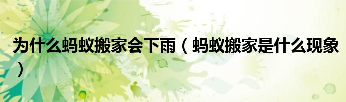 为什么蚂蚁搬家会下雨（蚂蚁搬家是什么现象）