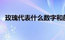 玫瑰代表什么数字和颜色（玫瑰代表什么）