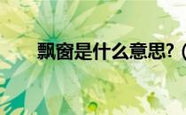飘窗是什么意思?（飘窗是什么意思）