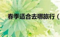 春季适合去哪旅行（春季适合去哪旅游）