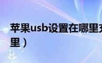 苹果usb设置在哪里充电（苹果usb设置在哪里）