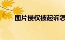 图片侵权被起诉怎么办（图片侵权）