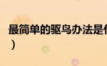 最简单的驱鸟办法是什么（最简单的驱鸟办法）