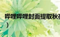 哔哩哔哩封面提取秋夜叶（哔哩哔哩封面提取）