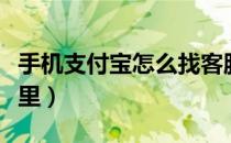 手机支付宝怎么找客服（手机支付宝客服在哪里）
