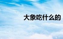 大象吃什么的（大象吃什么）