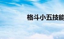 格斗小五技能（格斗小五）