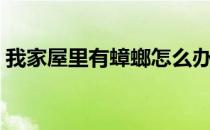 我家屋里有蟑螂怎么办（屋里有蟑螂怎么办）