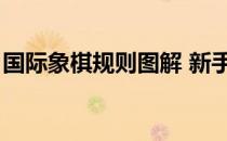 国际象棋规则图解 新手入门（国际象棋规则）