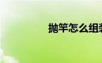 抛竿怎么组装线（抛竿）