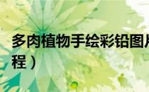 多肉植物手绘彩铅图片（彩铅多肉植物手绘教程）