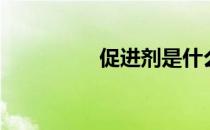 促进剂是什么（促进剂）