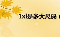1xl是多大尺码（xl是多大尺码）