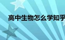 高中生物怎么学知乎（高中生物怎么学）