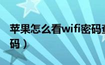 苹果怎么看wifi密码查询（苹果怎么看wifi密码）