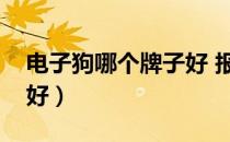 电子狗哪个牌子好 报的准（电子狗哪个牌子好）
