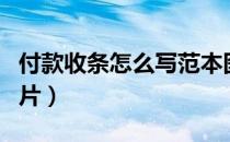 付款收条怎么写范本图片（收条怎么写范本图片）