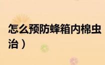 怎么预防蜂箱内棉虫（蜜蜂箱里的棉虫怎样防治）