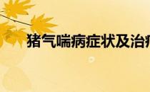 猪气喘病症状及治疗方法（猪气喘病）