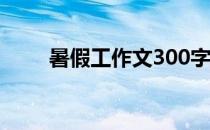 暑假工作文300字左右（暑假工作）