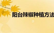 阳台辣椒种植方法（辣椒种植方法）