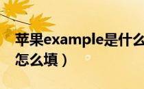 苹果example是什么意思（苹果的example怎么填）