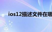 ios12描述文件在哪（ios12描述文件）