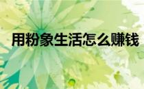 用粉象生活怎么赚钱（粉象生活赚钱教程）