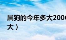 属狗的今年多大2006年出生（属狗的今年多大）