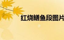 红烧鳝鱼段图片（红烧鳝鱼段）